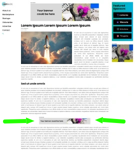 Banner Advertising on BizBlog