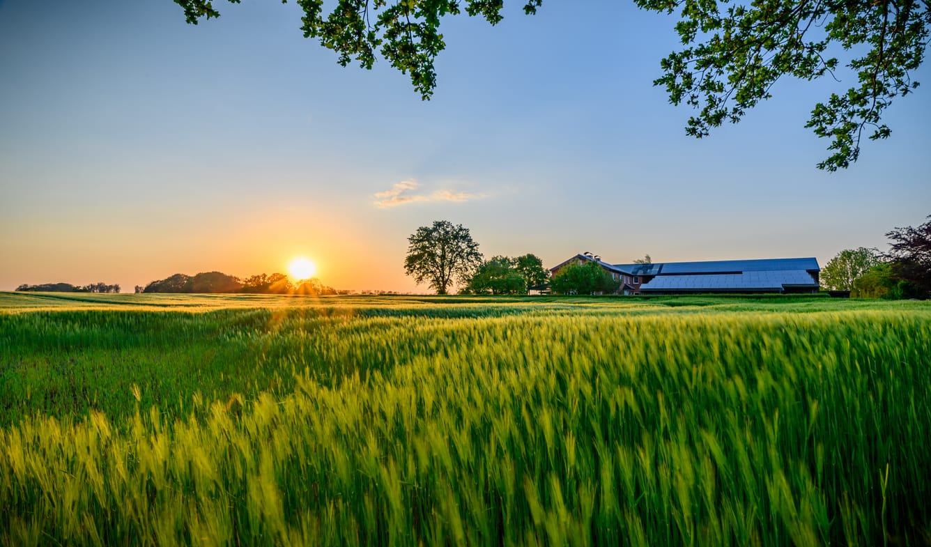 breakthroughs-in-agritech-that-farmers-are-using