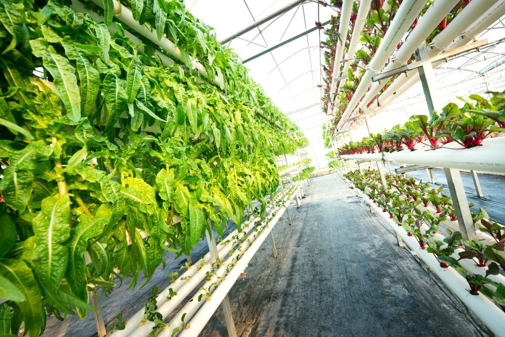 vertical farming