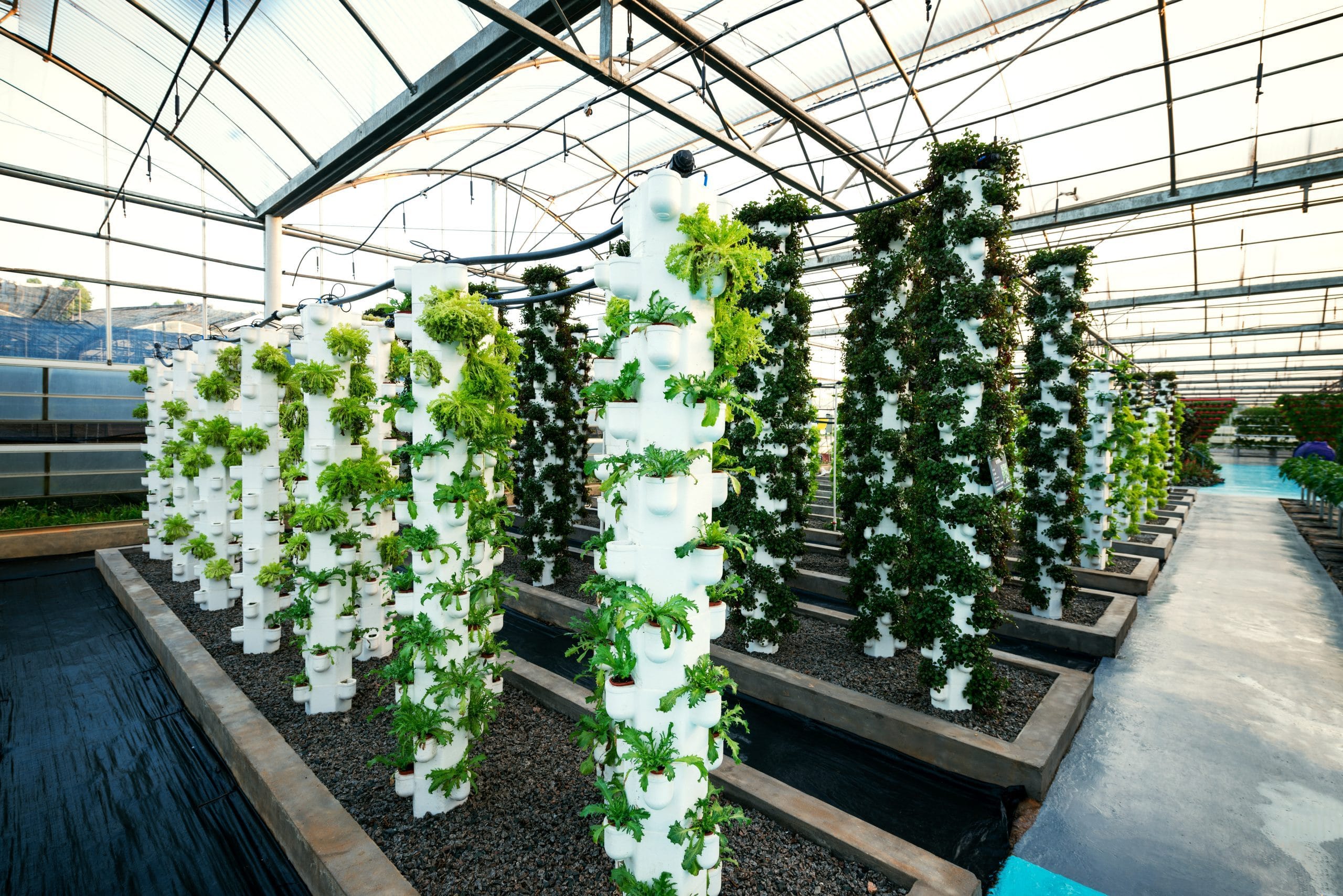 vertical-farming-enters-the-suburban-market