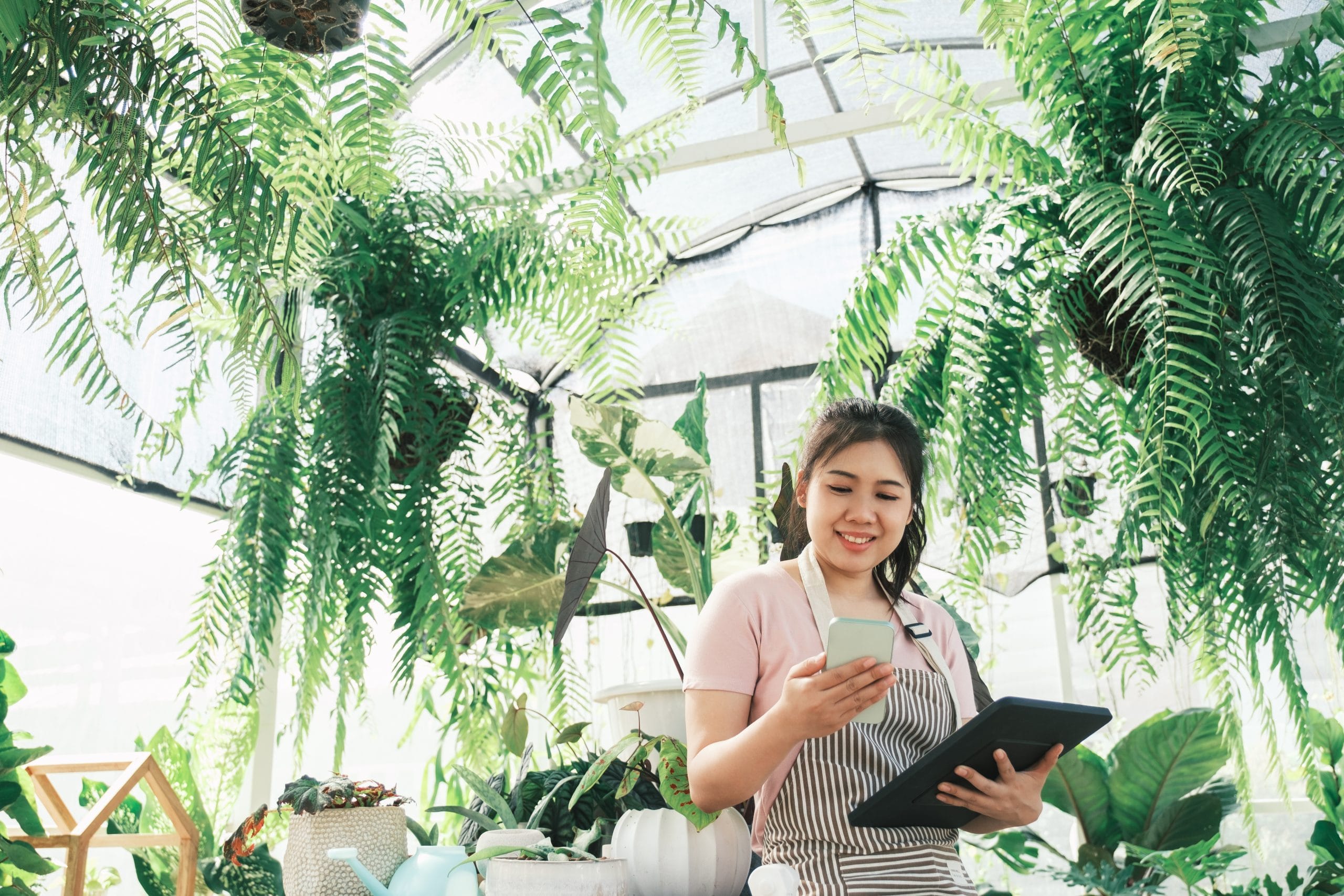 plant-nurseries-reinventing-retail-with-ar-tools