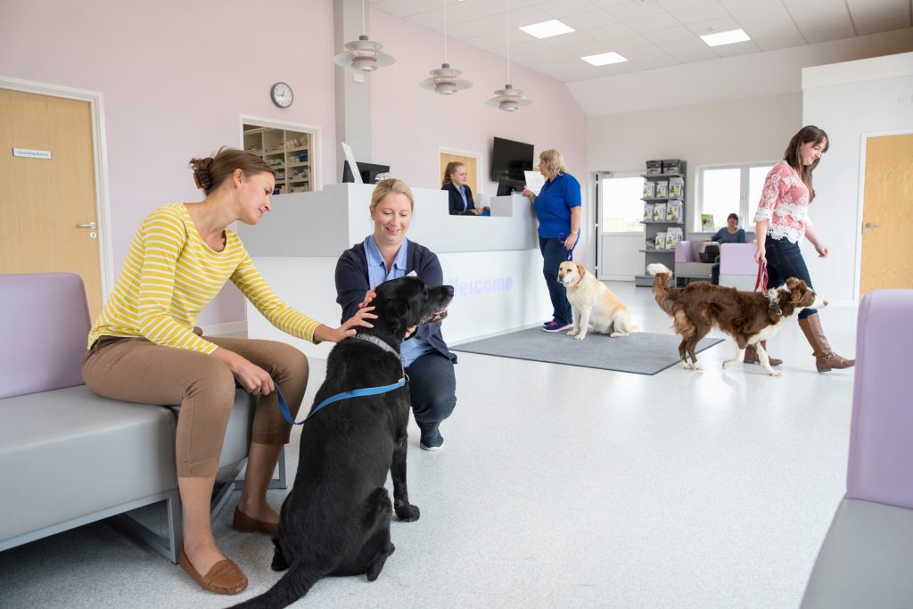 Veterinary Clinics