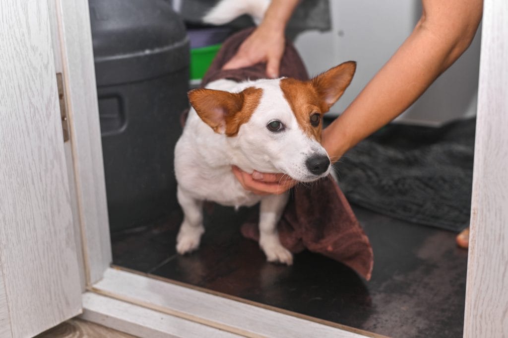 Mobile Pet Grooming 